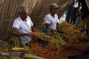 غفلت میراث فرهنگی در برگزاری جشنواره مغ و مشتا در میناب 