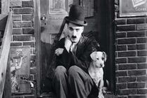 دانلود زیرنویس فیلم A Dog’s Life 1918 