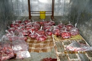 کشف محل کشتار دام و سردخانه غیر مجاز در شهرستان دلیجان