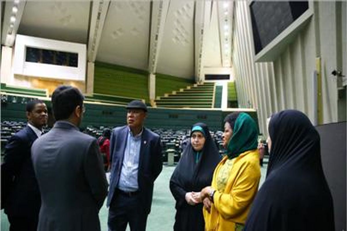 رئیس مجلس افریقای جنوبی