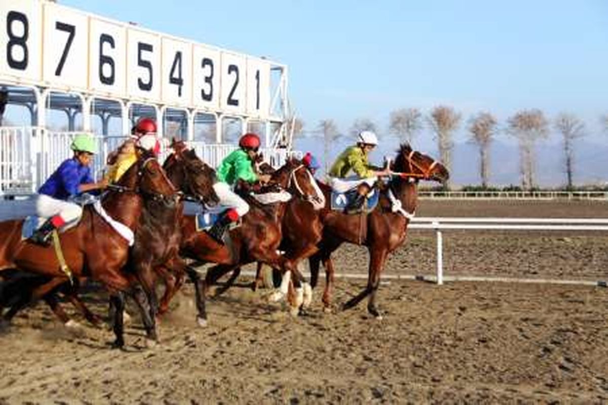 هفته پنجم کورس اسبدوانی تابستانه بندرترکمن