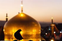 اعلام برنامه‌ های شب شهادت امام جواد(ع) در حرم رضوی(ع)