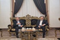 وزیر امور خارجه وارد مشهد شد