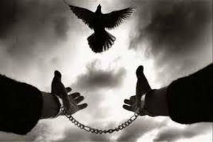 رهایی زندانی محکوم به قصاص در هرمزگان 