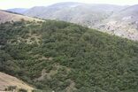 مهار حریق در منطقه سبزکوه