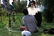 حشیش در این پارک جولان میدهد