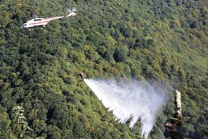 اطفای کامل حریق در منطقه حفاظت‌شده‌ هلن(ارتفاعات روبروی ابشاران)، دره بید و دره یاس/ عامل آتش‌سوزی دستگیر شد