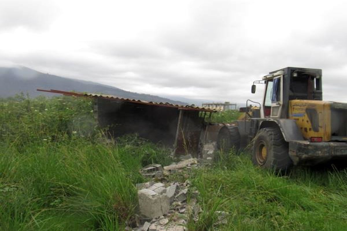 قلع و قمع در عباس آباد مازندران