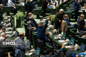 مجلس با اعتبارات هلال احمر، اورژانس، بیمه کشاورزی و حوادث طبیعی در سال ۱۴۰۵ موافقت کرد