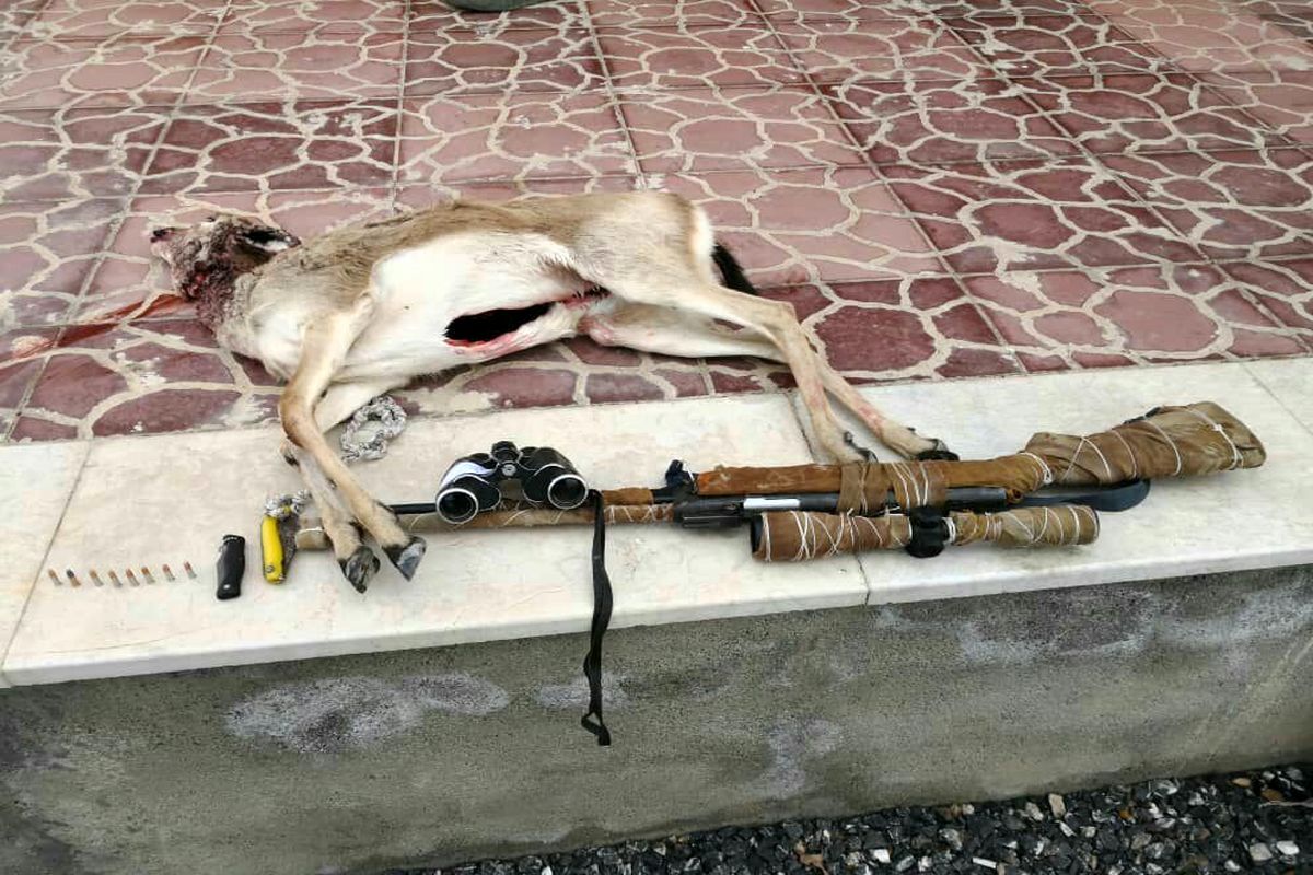 اصفهان- متخلف شکار