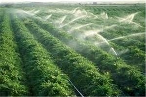 بهره‌برداری از طرح آب‌رسانی به 46 هزار هکتار از مزارع سیستان 100 هزار شغل ایجاد می‌کند