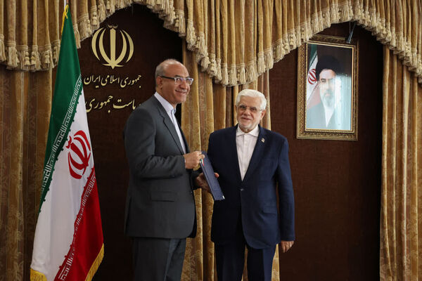 عارف از مدیریت جهادی حبیبی در اربعین تقدیر کرد