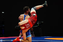 میزبانی سال آینده آلبانی و بایکوت شدن کشتی گیران ایران از مسابقات جهانی 