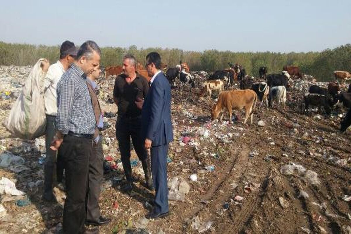 محیط زیست