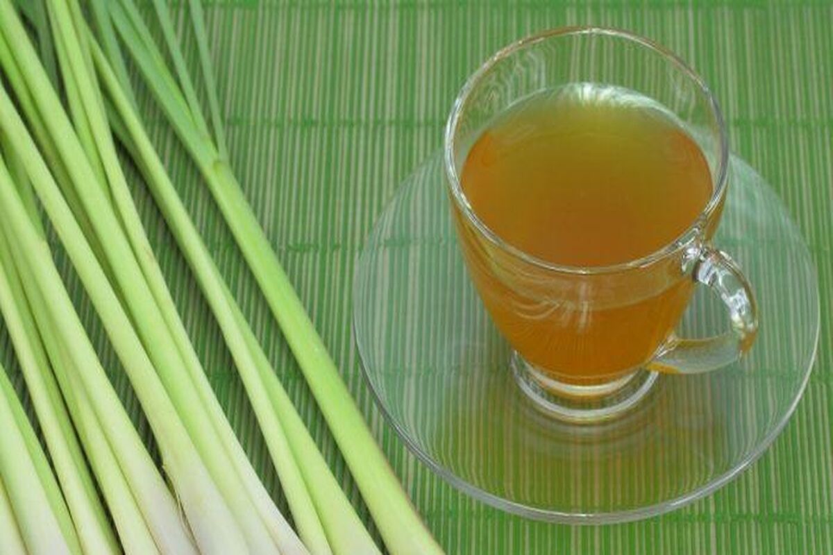 گیاه دارویی لمون گراس