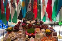 وزیر میراث‌ فرهنگی از کشورهای حوزه نوروز برای نزدیکی ملت‌ها و تعمیق همکاری‌ها دعوت کرد