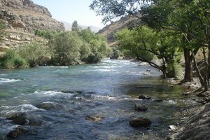 سقوط یک نفر در رودخانه کرج به خاطر سلفی گرفتن