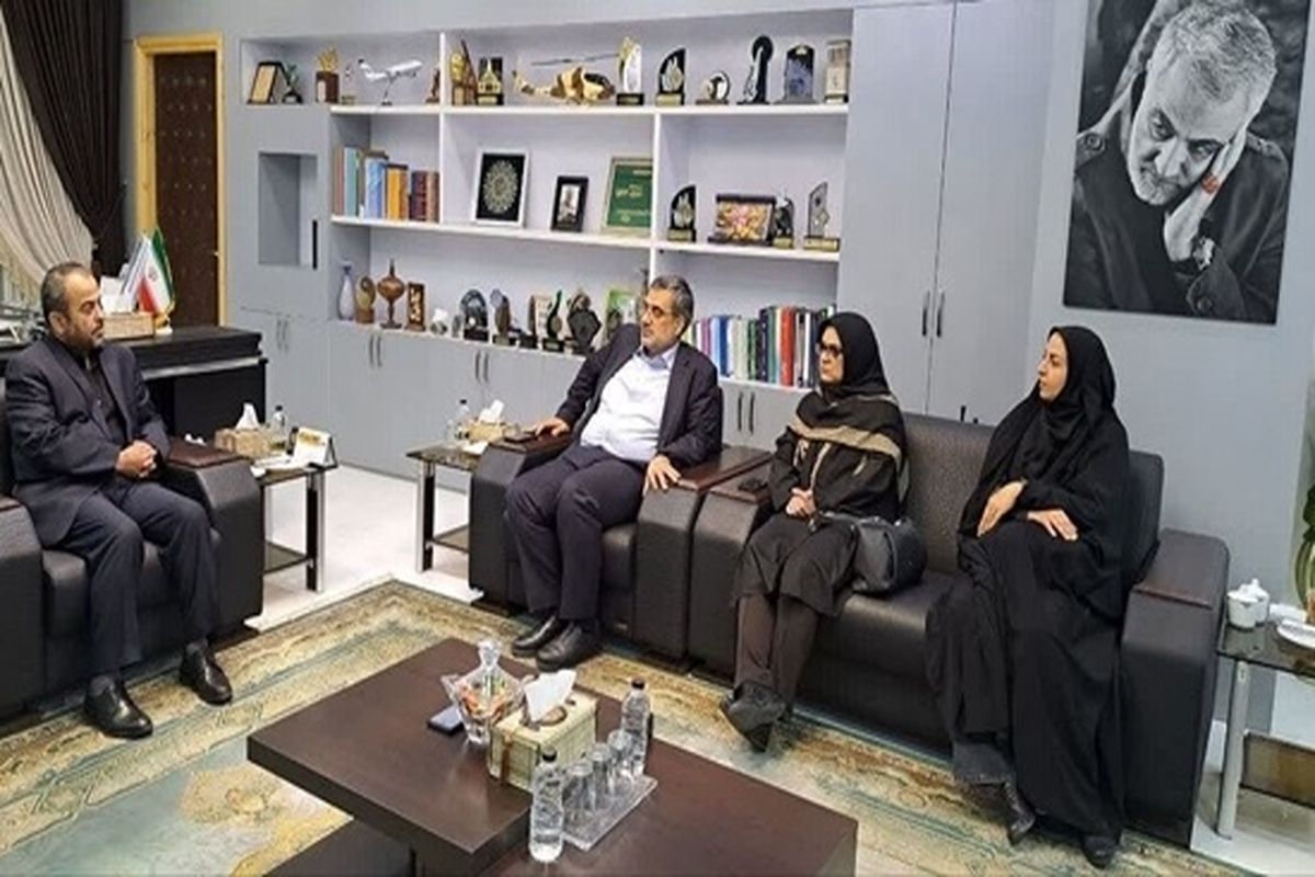 ارسلان مالکی معاون وزیر و مدیرعامل سازمان ملی زمین و مسکن