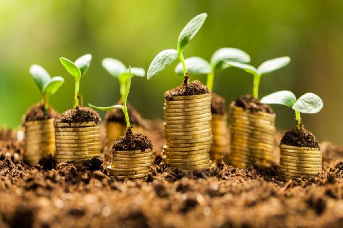 دیوان محاسبات