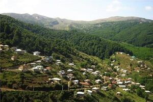جبران کمبودهای استفاده از چوب از معایب طرح تنفس جنگل است