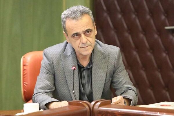 مجوز واردات 5.5 میلیون تن نهاده‌های دامی از ستاد تنظیم بازار اخذ شد