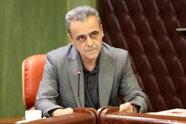 مجوز واردات 5.5 میلیون تن نهاده‌های دامی از ستاد تنظیم بازار اخذ شد