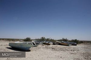 چند نفر دیگر می گویند "خودتان می دانید و مملکتتان"