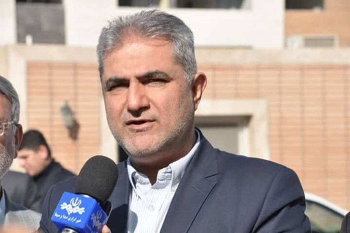مدیرعامل سازمان ملی زمین و مسکن