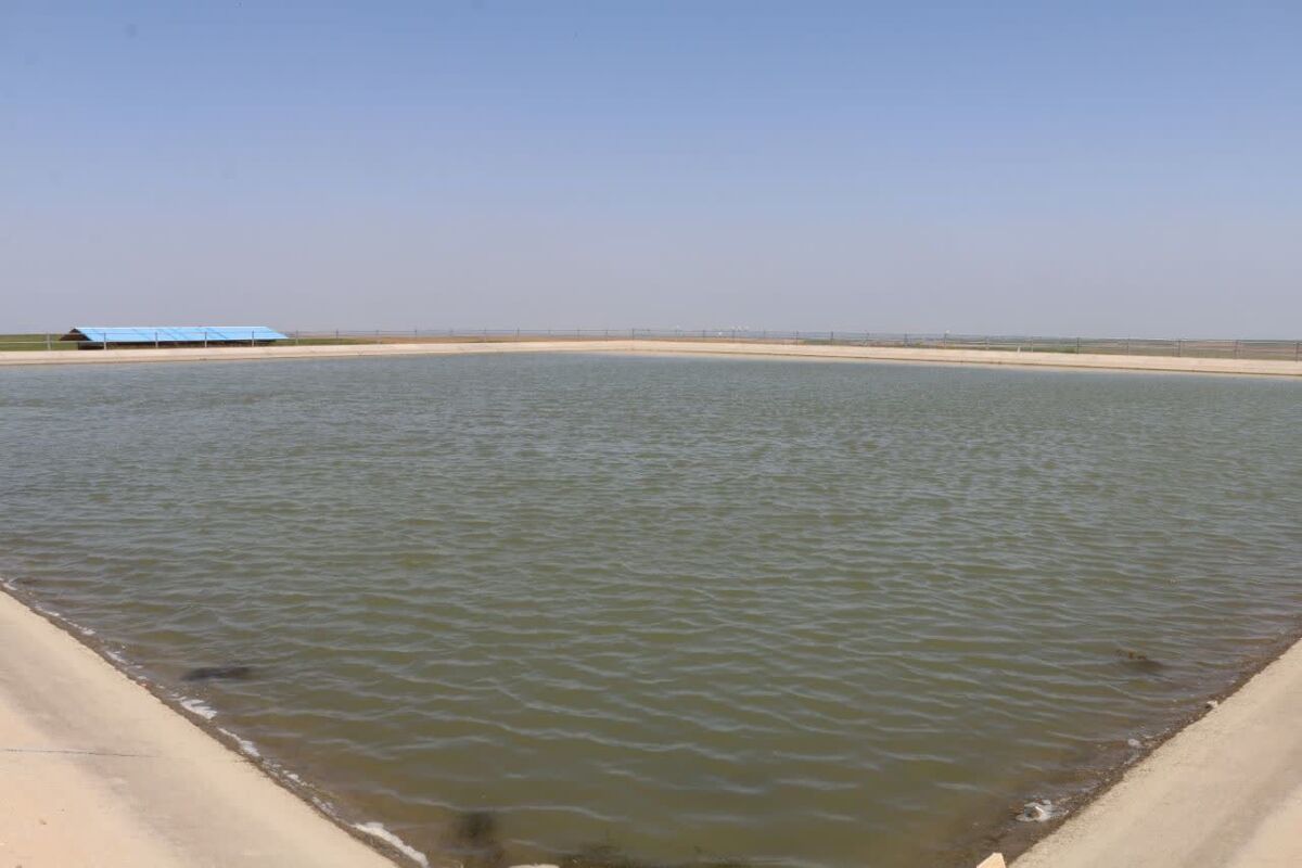 آبزی پروری 