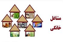 صدور مجوز مشاغل خانگی در کشور 10 برابر شد