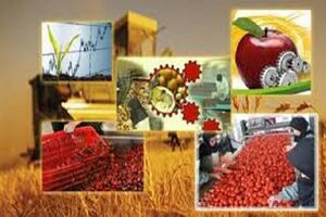 فاز دوم روستا بازار کرمانشاه ۹۰ درصد رشد فیزیکی دارد