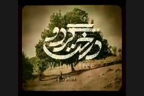 رونمایی از گریم متفاوت مهران مدیری در فیلم درخت گردو