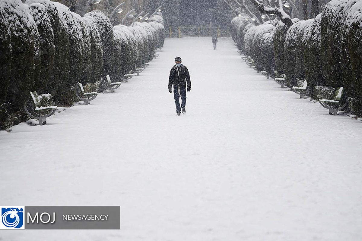 بارش برف در تهران