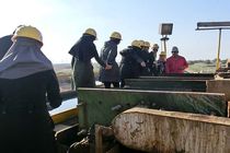 انعقاد قرارداد ۹ دانشگاه کشور با وزارت نفت