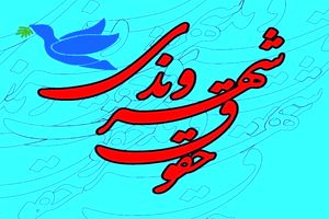 در بحثحقوق شهروندی، فرهنگ مهمتر است / ضرورت فعال ترشدن سمن ها