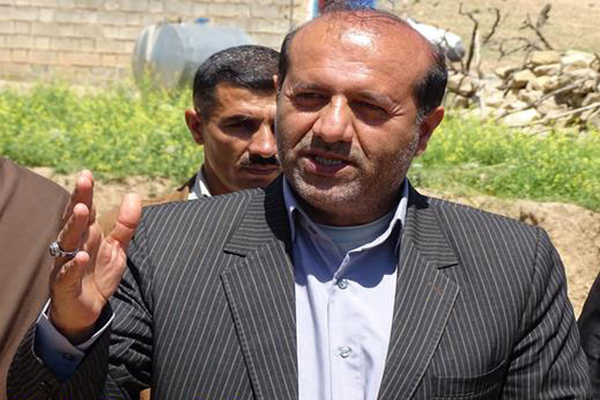 امیریان بخشدار دیشموک