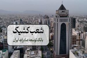 نحوه فعالیت شعب بانک توسعه صادرات ایران در روزهای پنج شنبه