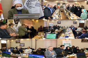 همایش کشوری موسسه خیریه حمایت از بیماران مبتلا به سرطان نور در کاشان برگزار شد