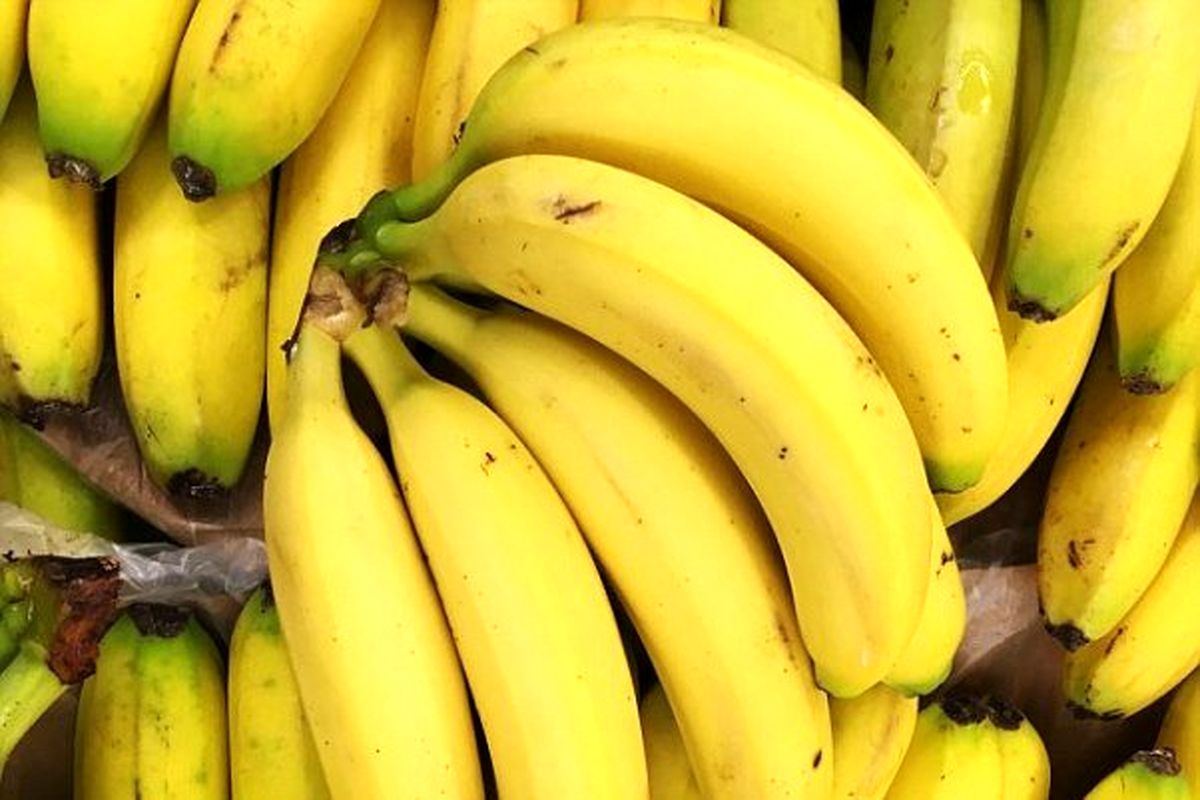 موز