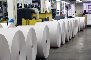 جزئیات توزیع کاغذ مطبوعات با ارز دولتی