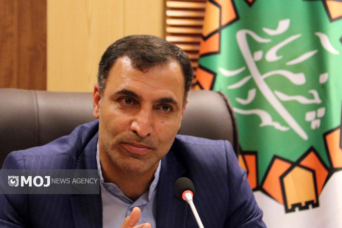 وحید رشیدی