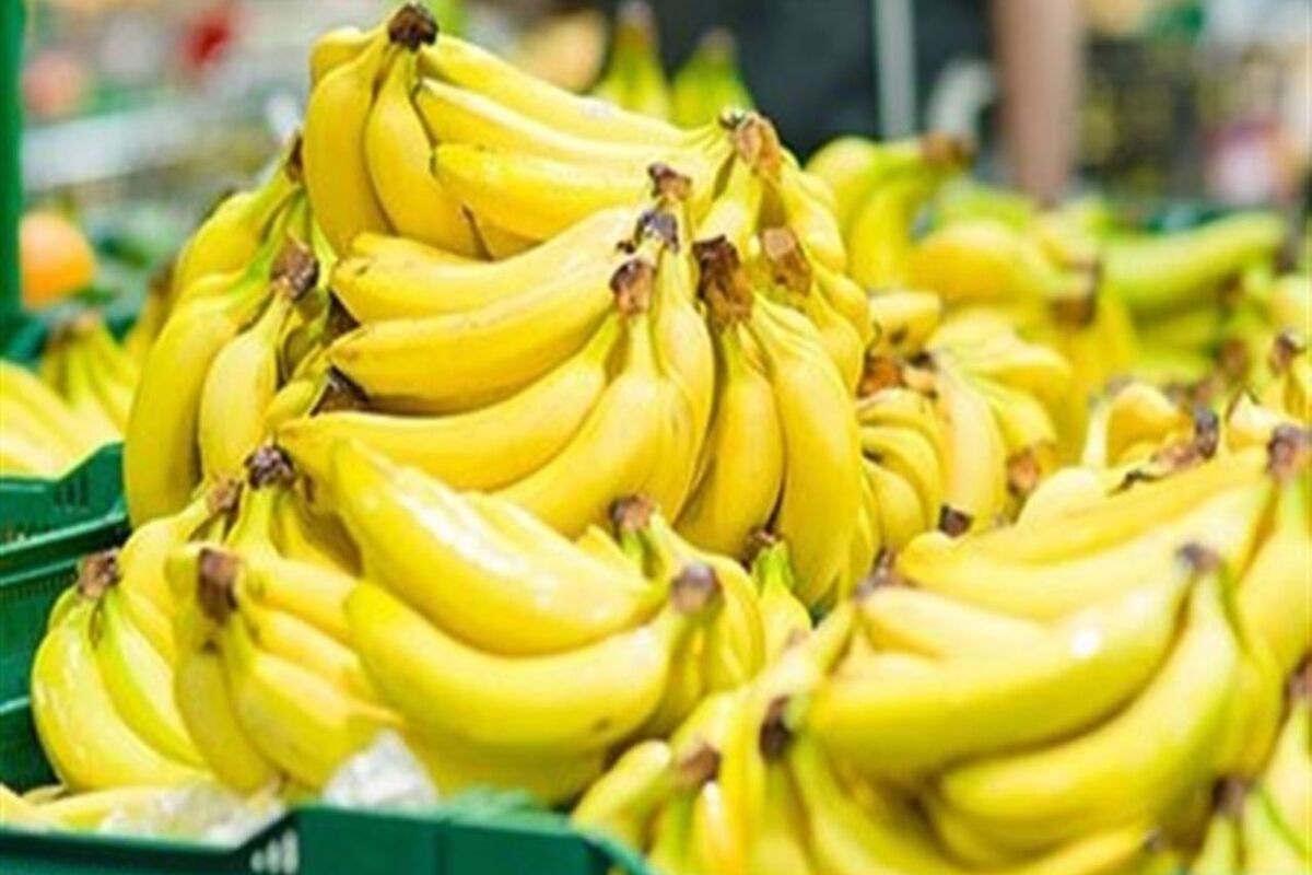 قیمت موز
