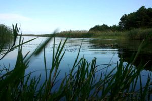 اراضی پارک ملی بوجاق کیاشهر رفع تصرف شد