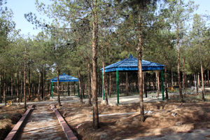 بهره برداری از کمپ اقامت زائر فدک قم تا پایان تابستان امسال