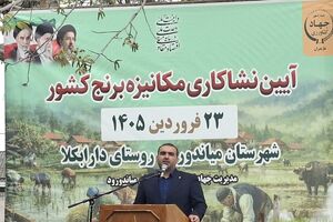 میاندورود اجرای گسترده نشای مکانیزه را آغاز کرد