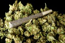 حقایقی در مورد عواقب خطرناک مصرف ماده مخدر "گُل" 