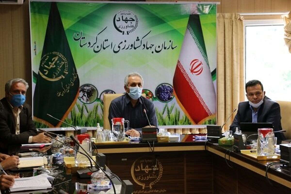 فرید سپری