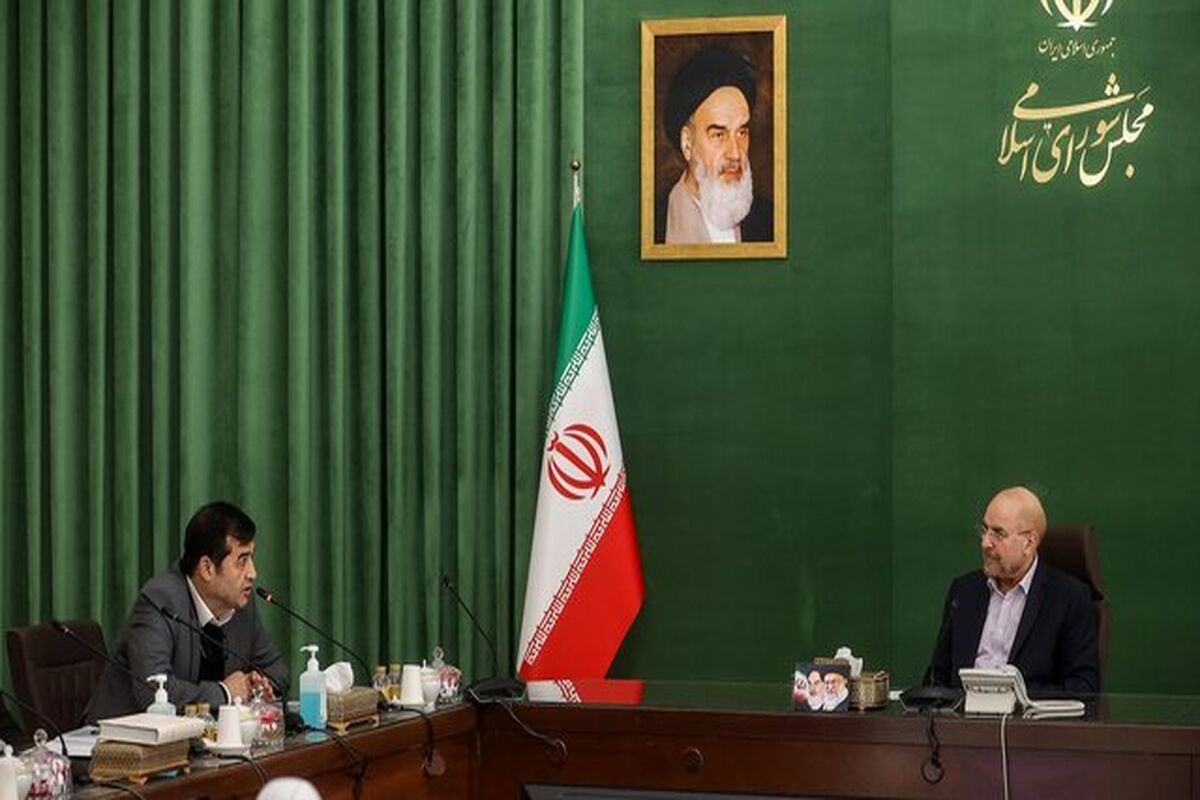 رئیس مجلس در دیدار وزیر و معاونان وزارت ورزش و جوانان