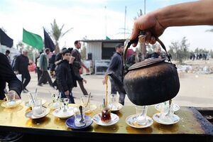 29 موکب هرمزگانی به زائران اربعین خدمات رسانی می کند