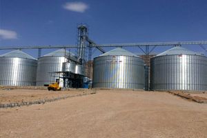 نیاز به احداث سیلوی 20 هزار تنی ذخیره‌سازی گندم در دالاهو